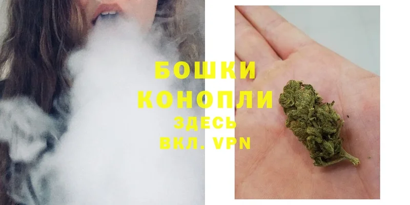 Каннабис White Widow  ОМГ ОМГ tor  Венёв 